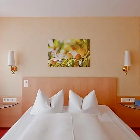 Luise Hotel Erlangen