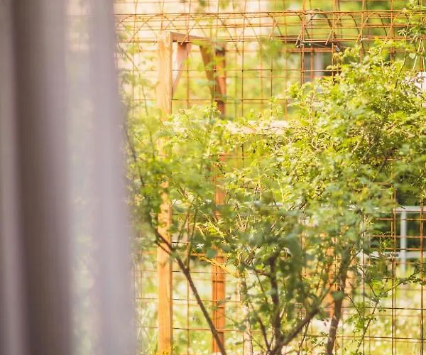 Hotel Luise Erlangen